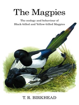 cover image of The Magpies